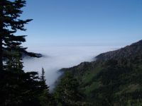 Cloud-filled valley - Olympic National Park (Washington, USA)