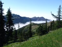 Highland meadows - Olympic National Park (Washington, USA)