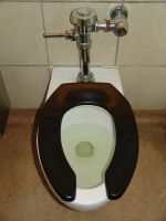 Toilet! - Sea-Tac Airport (Washington, USA)