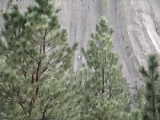 Rock climber on Devil's Tower - Devil's Tower (Wyoming, USA)