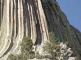 Rock climber on Devil's Tower - Devil's Tower (Wyoming, USA)
