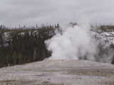 Old Faithful erupting - Yellowstone National Park (Wyoming, USA)
