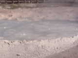 Mud bubbling - Yellowstone National Park (Wyoming, USA)