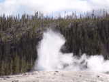 Old Faithful erupting - Yellowstone National Park (Wyoming, USA)