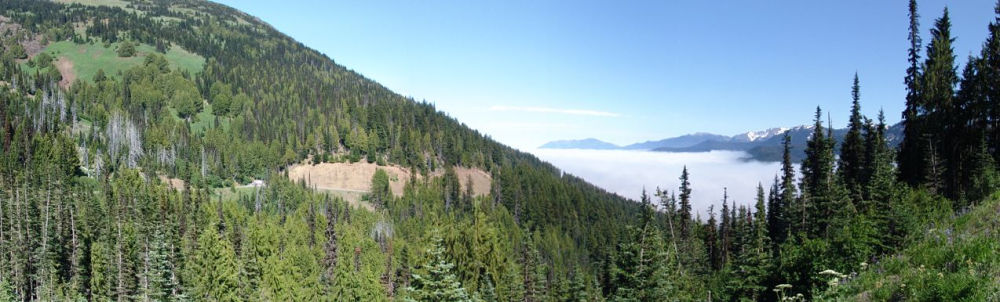 Morse Creek panorama - Olympic National 
Park (Washington, USA)