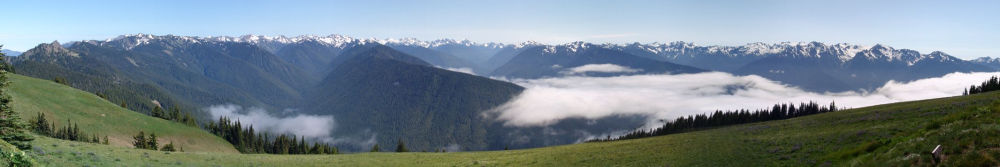 Hurricane Ridge panorama - Olympic 
National Park (Washington, USA)